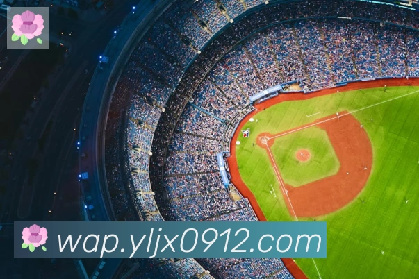 博亚app官网品牌故事