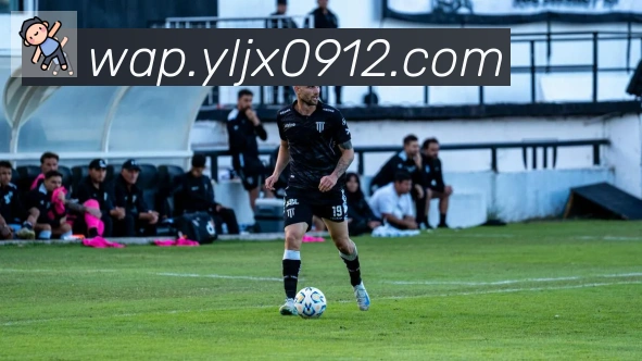 博亚app官网服务体系