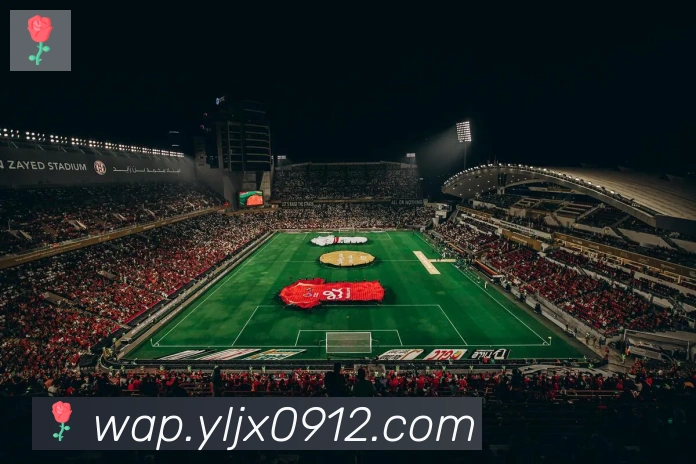 博亚app官网APP 封面图