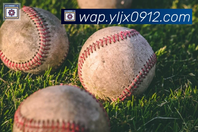 博亚app官网荣誉