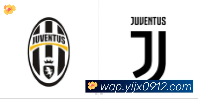 博亚app官网合作伙伴