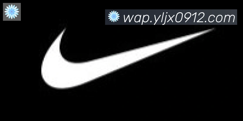 博亚app官网合作伙伴