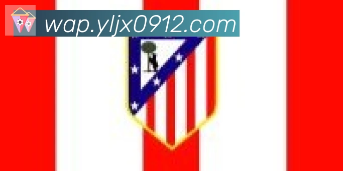 博亚app官网合作伙伴